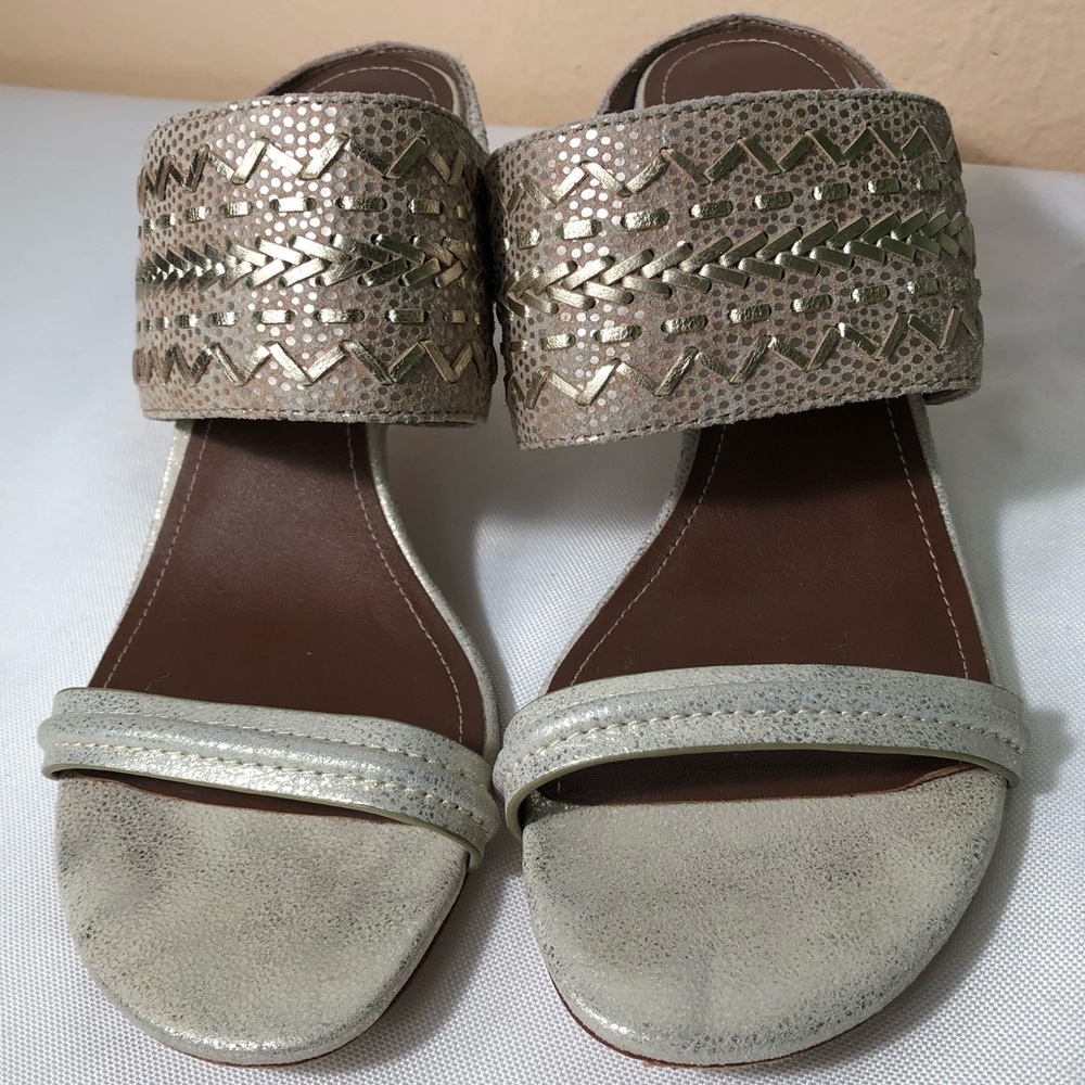 EUC Donald J. Pliner Metallic Heels